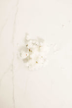 Load image into Gallery viewer, Peppermint Lavender Scrub